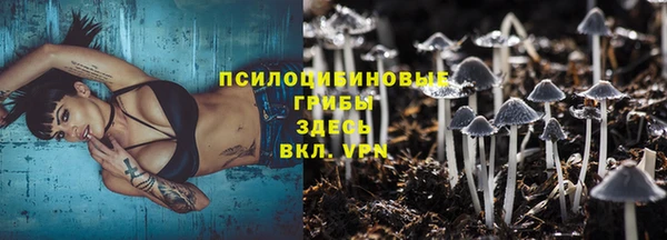 jwh Алзамай