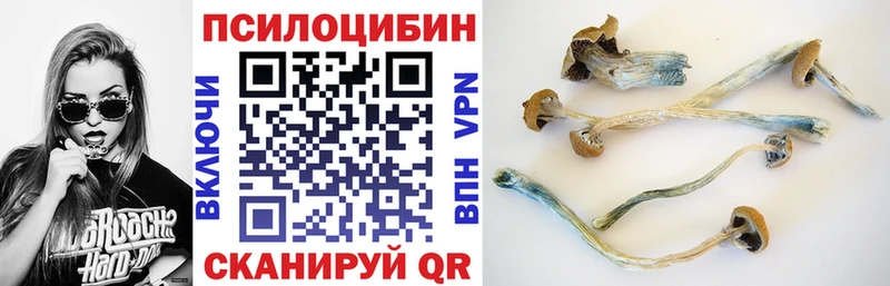 кракен ссылки  магазин продажи наркотиков  Гуково  Галлюциногенные грибы Psilocybine cubensis 