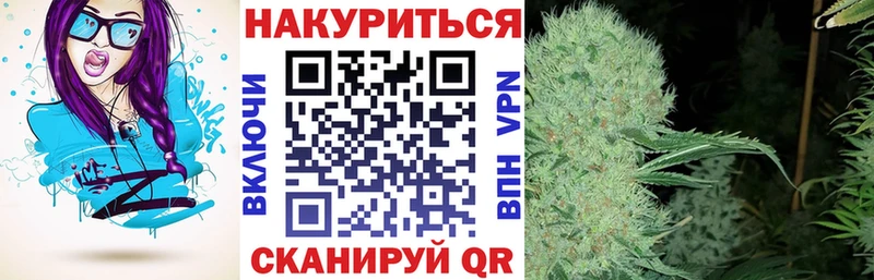 МАРИХУАНА сатива гидра ссылка Гуково